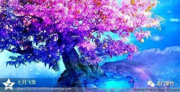知情者:起火楼房二楼是专升本机构教室,事发时多人在楼内上课